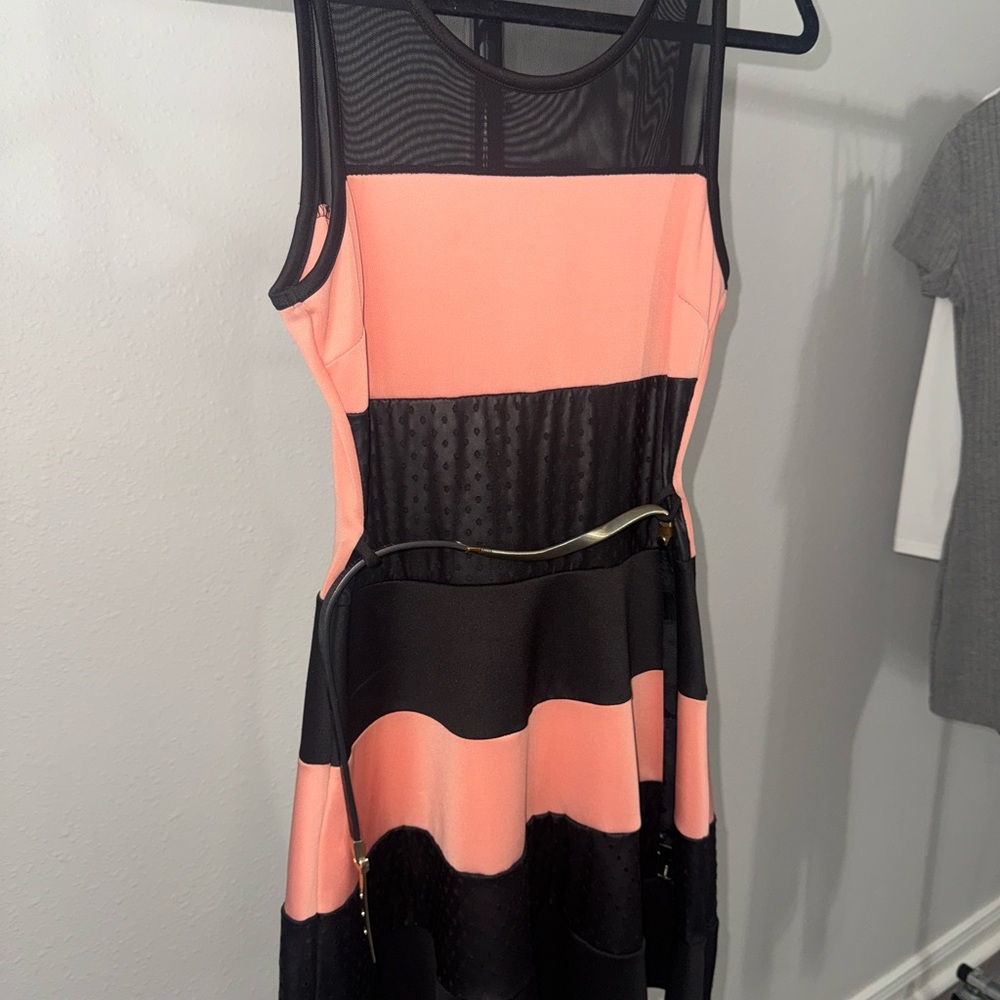 Chic Coral and Black Midi Dress - Picture 3 of 8